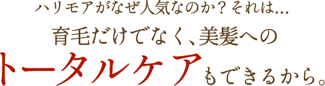 ハリモアがなぜ人気なのか？それは…