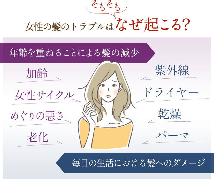 そもそも女性の髪のトラブルはなぜ起こる？