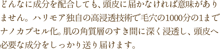 どんなに成分を配合しても、頭皮に届かなければ意味がありません。ハリモア独自の高浸透技術で毛穴の1000分の1までナノカプセル化。肌の角質層のすき間に深く浸透し、頭皮へ必要な成分をしっかり送り届けます。